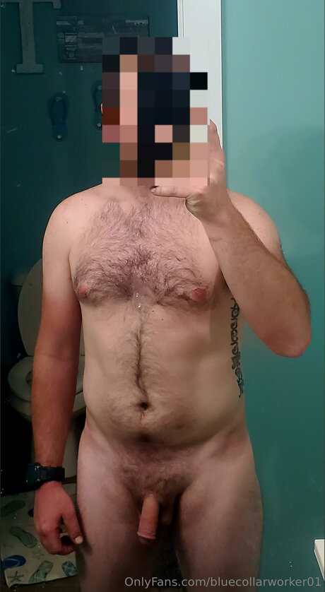 Bluecollarworker01 erotic star image