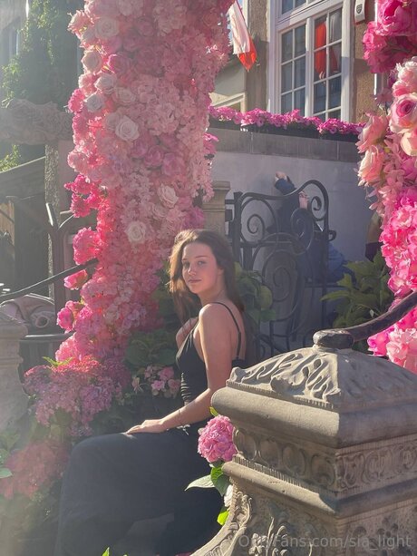 Sia Light top model gallery