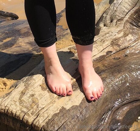 Fernsfeet31 star pretty galleries