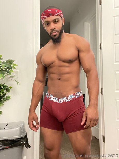 Busta2620 art star gallery