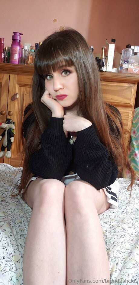 Brendushckis art star gallery