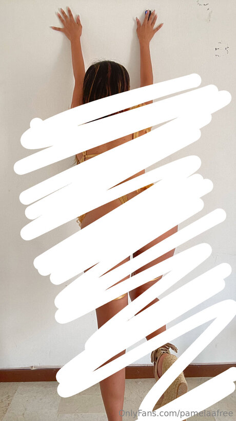 Pamelaafree star hot picture