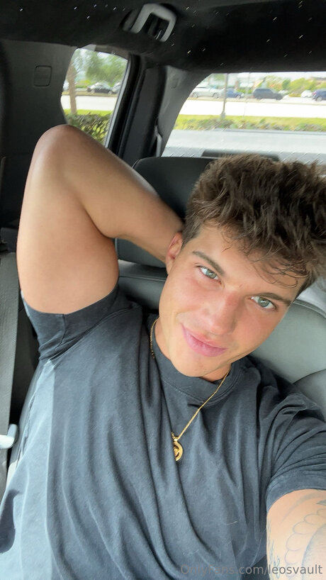 Leosvault hd star img