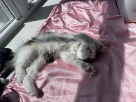 Valeriekingsley free pornstar image