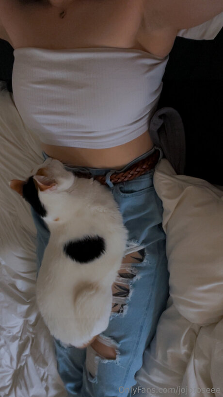 Jojoroseee star nudes archive