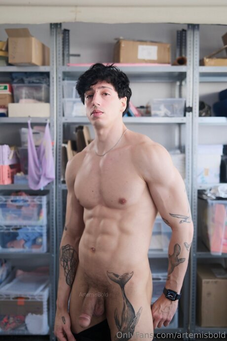 Artemisbold pornstar erotic archive