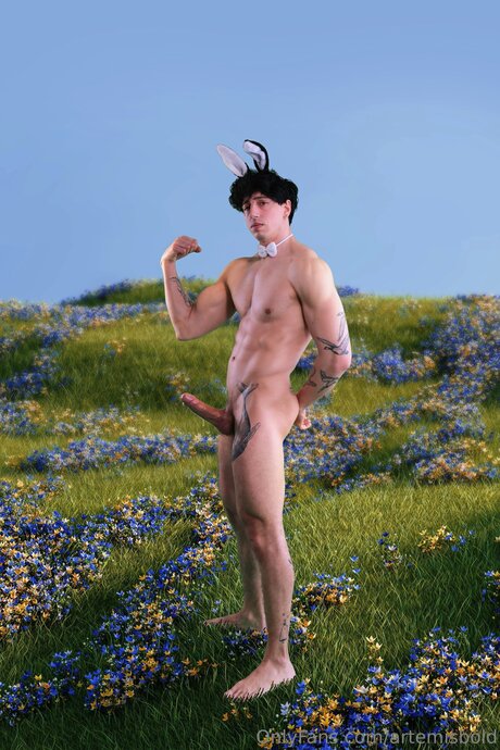 Artemisbold free pornstar photo