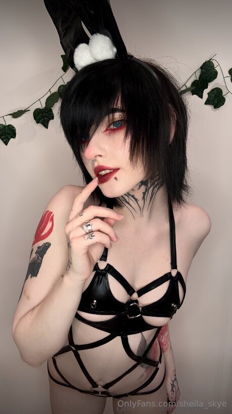Sheila Skye sexy pornstar gallery