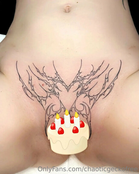 Chaoticgeckofree sex pornstar image