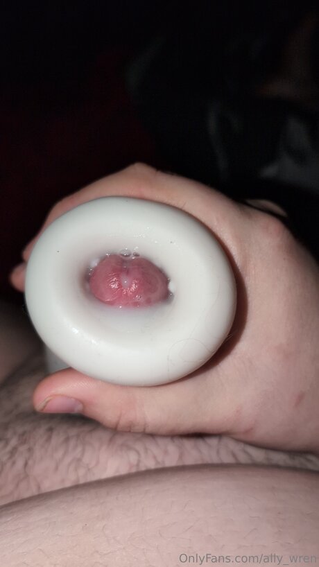 Ally Wren star free img