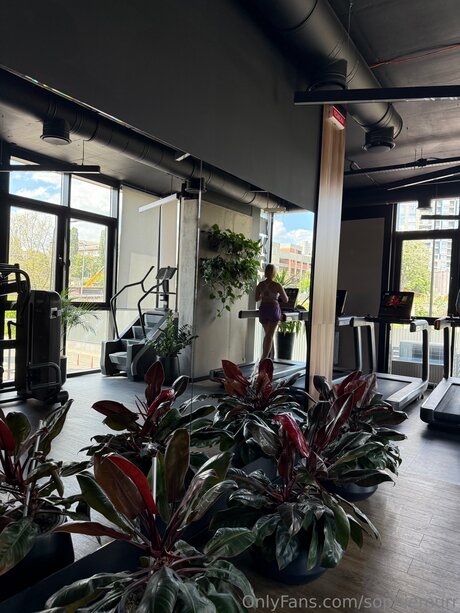 Sophiemurr best star archive