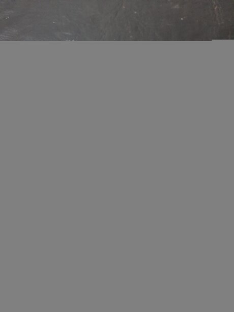 Giulisensuale nudes star galleries