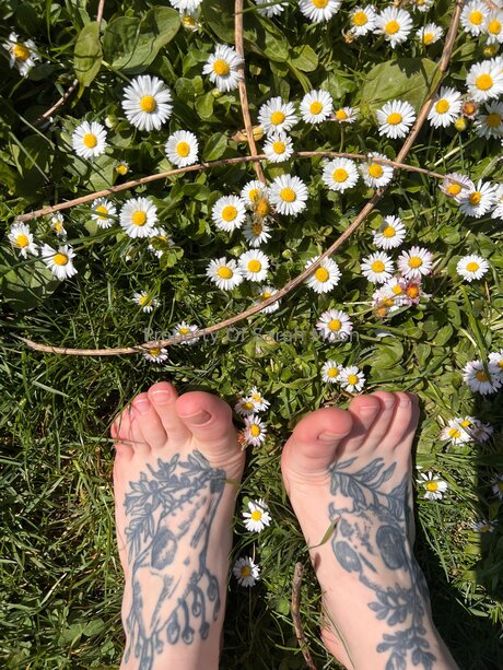 Sarahmoonsg pornstar photo