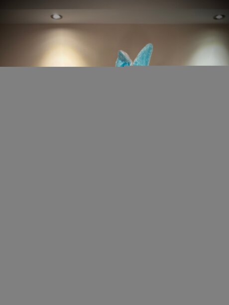 Thenamelessghuleh pornstar images