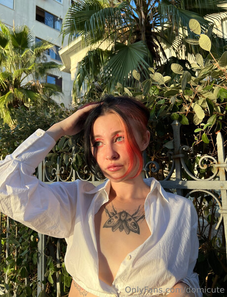 Domicute Profile pic