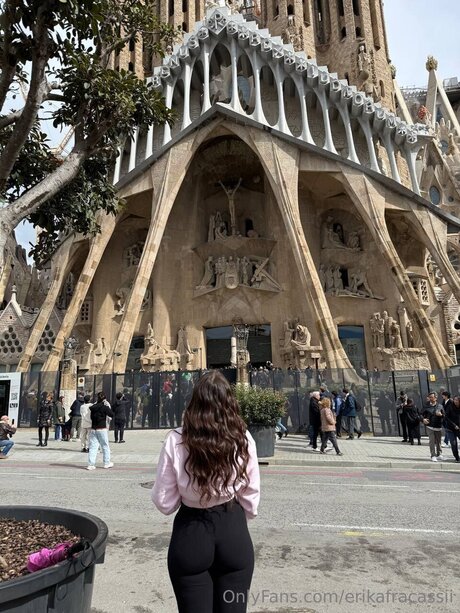 Erikafracassii pornstar nudes pic