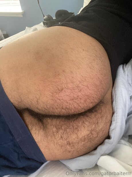 Gatorbaiterrr sex model pics