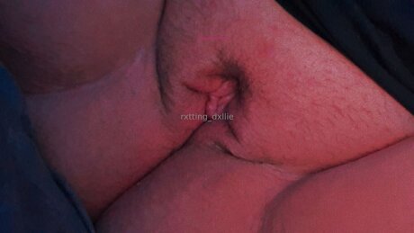 Puppyrolls art star pictures