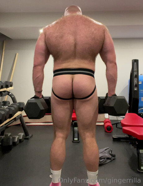 Gingerrilla pornstar images