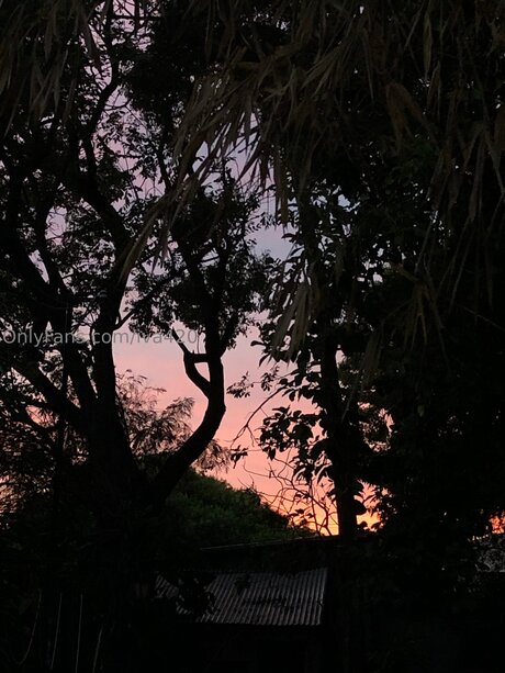 Iva420 exclusive pornstar galleries