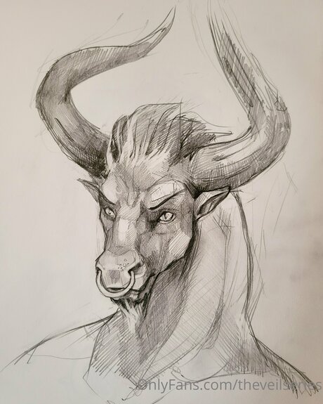 Theveilseries model pretty photo