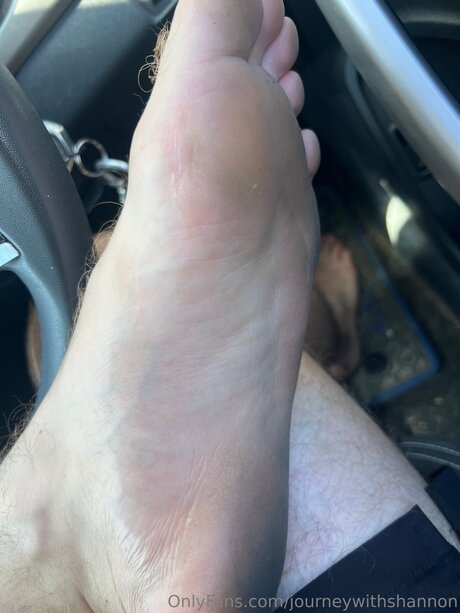 Journeywithshannon art model img