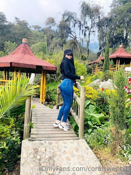 Coralsweet 1 star art picture