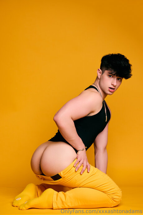 Ashtonadamsx free pornstar pics