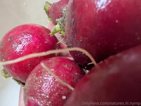 Natures Lil Nymp pornstar exclusive image