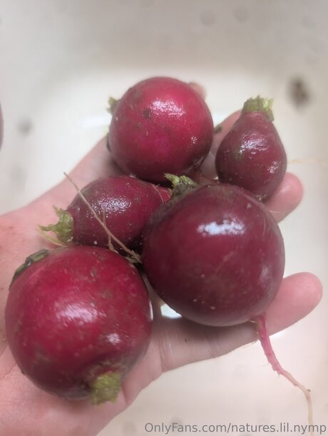 Natures Lil Nymp star exclusive pic