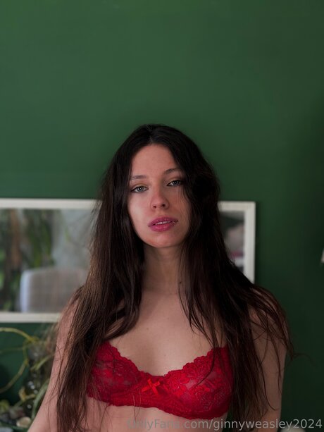 Dominga2024 xxx star archive