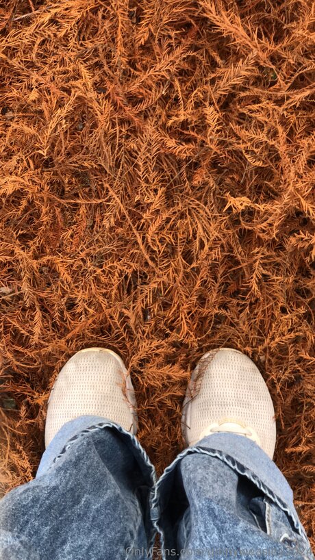 Dominga2024 pornstar erotic picture