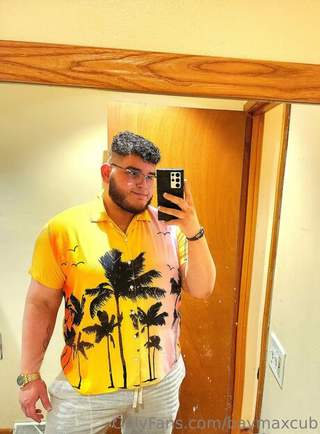 Baymaxcub art actress image