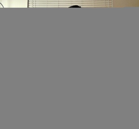 Baymaxcub star top img