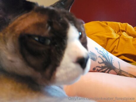 Pinkwater Forestpixie hd pornstar pics