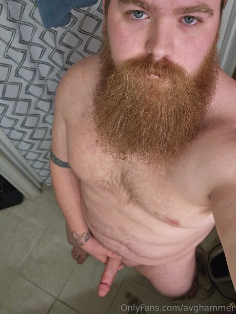 Avghammer sexy star image