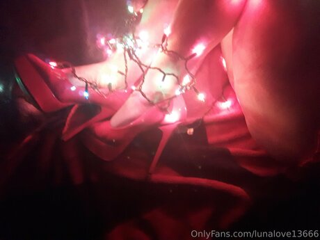 Lunalove13666 star top pictures