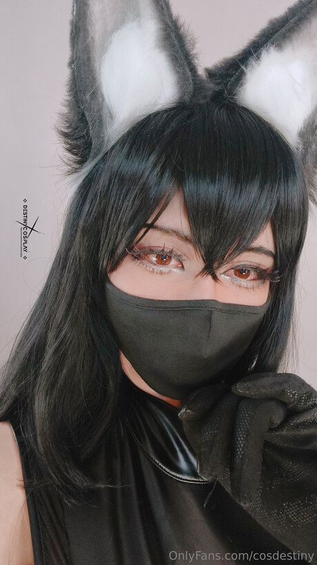 Cosdestiny pretty model archive