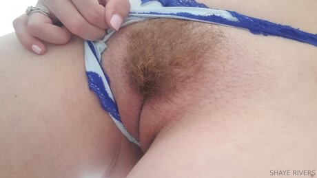 Shayeriversvip pornstar pretty img