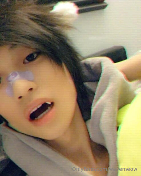 Wavemeow pretty star photo