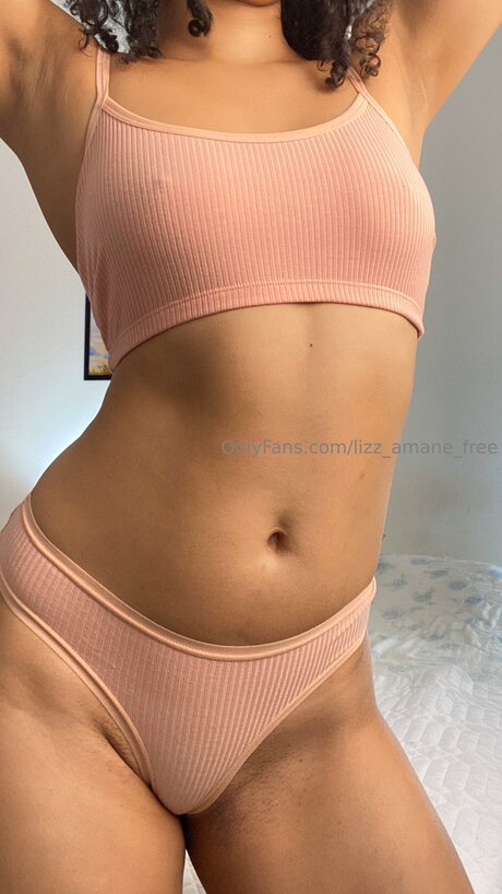 Lizz Nks pornstar adult picture