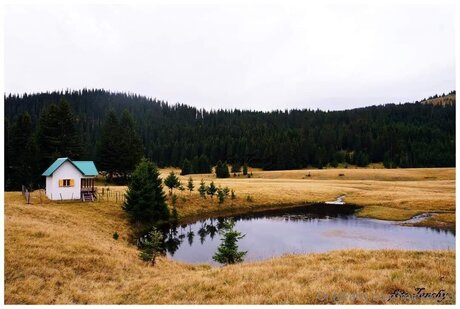 Mickey93 hd star photo