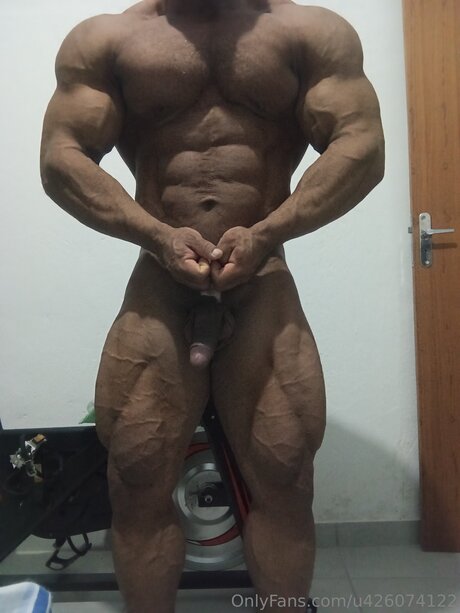 U426074122 nice star archive