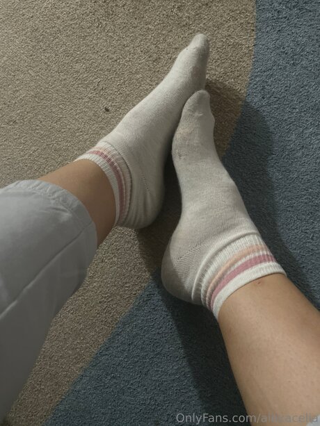 Alexacelia nice pornstar galleries