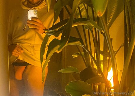 Avery222 pornstar photo