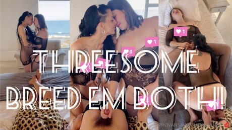 Sassonwest best star galleries