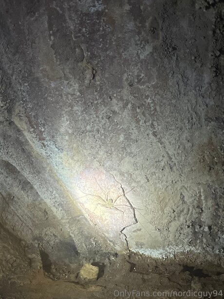 Nordicguy94 pornstar erotic galleries