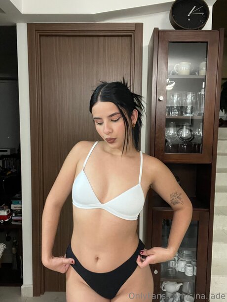 Sina Jade high quality pornstar archive