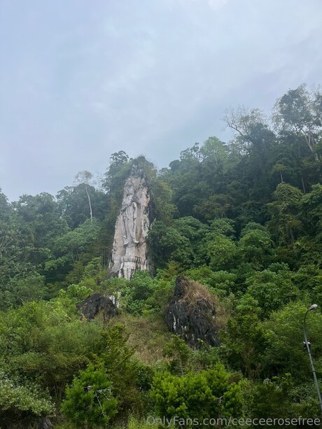 Ceeceerosefree pornstar top archive