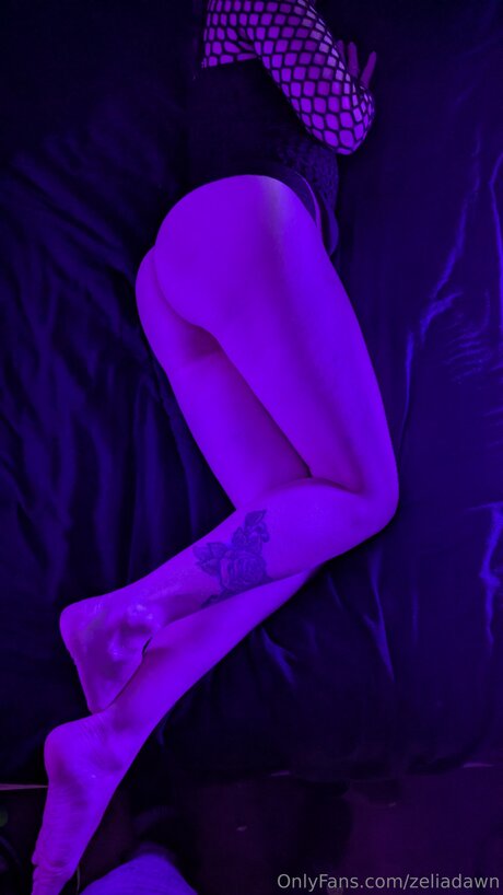 Zeliadawn model adult photo